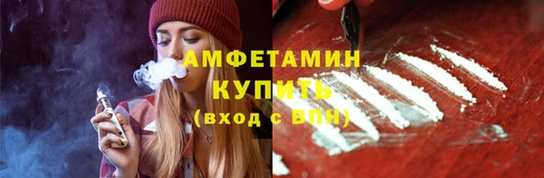 молекула духа Вязьма