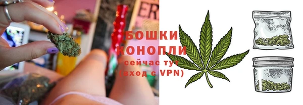 молекула духа Вязьма