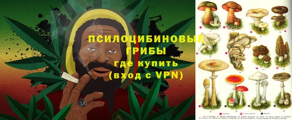 молекула духа Вязьма