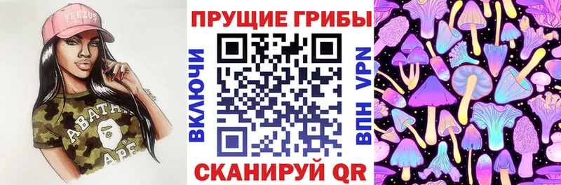 Псилоцибиновые грибы ЛСД  Купить  Терек 